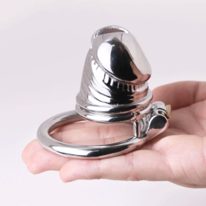 316 Stainless Steel Metal Chastity Cage in Penis Shape - metalchastitycage