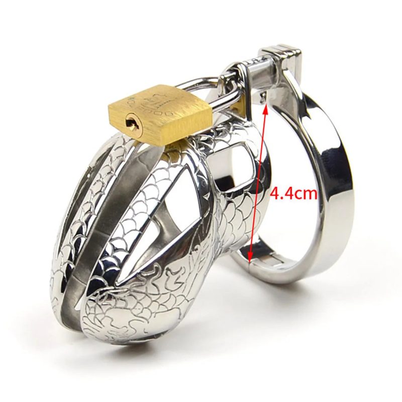 Stainless Steel Dragon Cock Cage Metal Male Chastity Device with Spikes - metalchastitycage