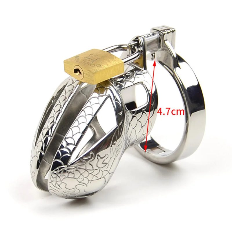 Stainless Steel Dragon Cock Cage Metal Male Chastity Device with Spikes - metalchastitycage