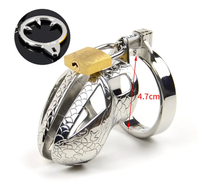 Stainless Steel Dragon Cock Cage Metal Male Chastity Device with Spikes - metalchastitycage