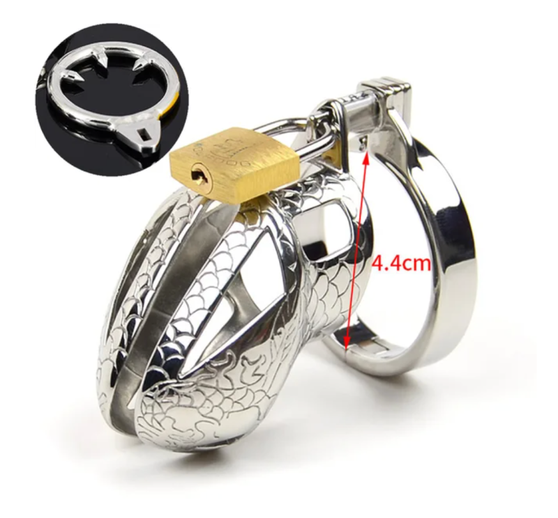 Stainless Steel Dragon Cock Cage Metal Male Chastity Device with Spikes - metalchastitycage